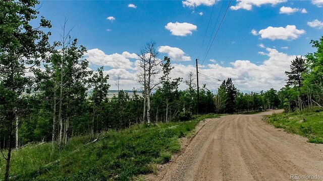 1047 Lumberjack Rd, Fairplay, CO 80440 - photo 4