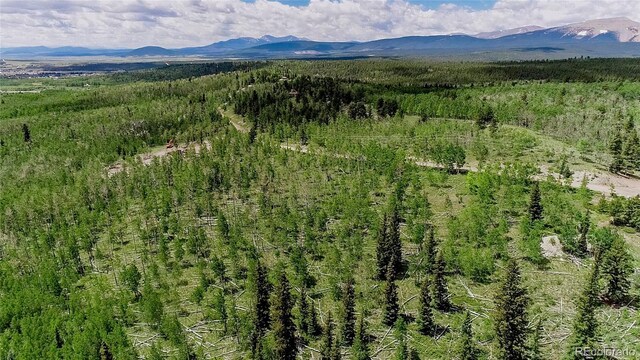 1047 Lumberjack Rd, Fairplay, CO 80440 - photo 8