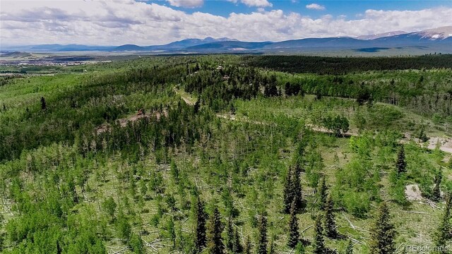 1047 Lumberjack Rd, Fairplay, CO 80440 - photo 9