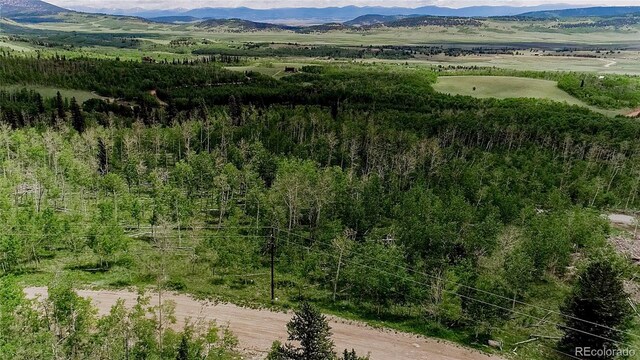 1047 Lumberjack Rd, Fairplay, CO 80440 - photo 10