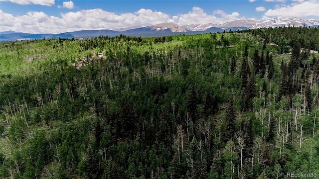 1047 Lumberjack Rd, Fairplay, CO 80440 - photo 11