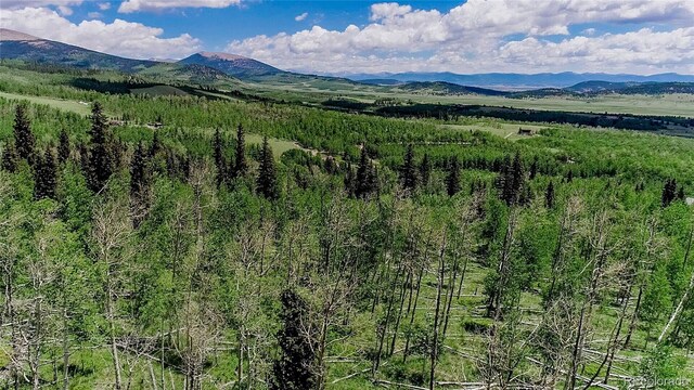1047 Lumberjack Rd, Fairplay, CO 80440 - photo 16