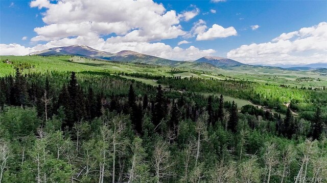 1047 Lumberjack Rd, Fairplay, CO 80440 - photo 19