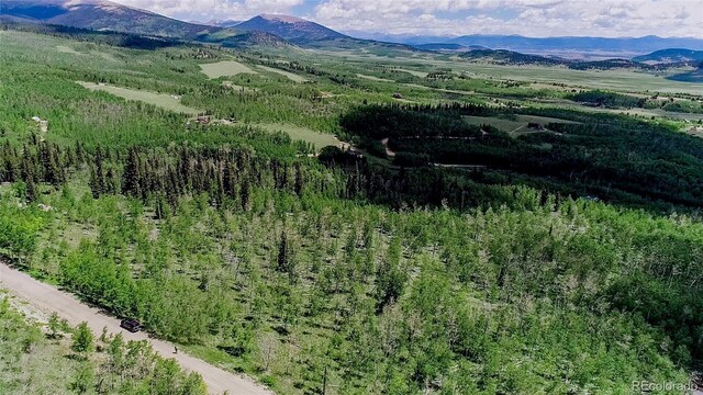 1047 Lumberjack Rd, Fairplay, CO 80440 - photo 20