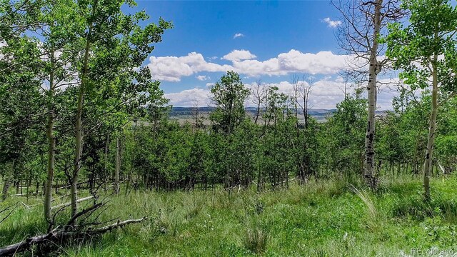 1047 Lumberjack Rd, Fairplay, CO 80440 - photo 21