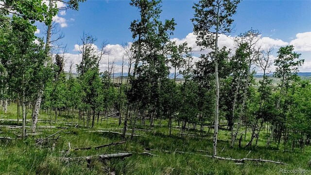 1047 Lumberjack Rd, Fairplay, CO 80440 - photo 22