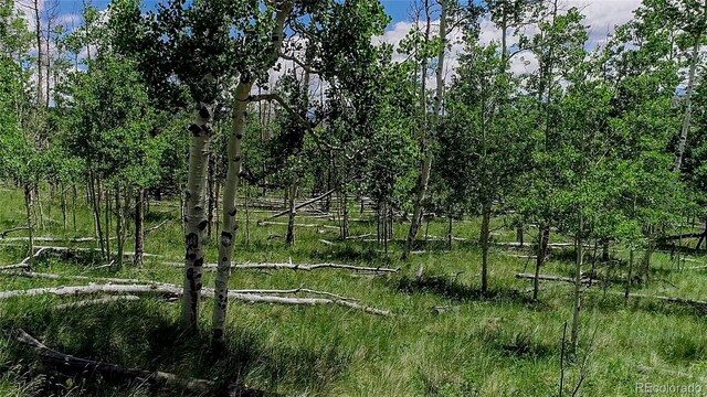 1047 Lumberjack Rd, Fairplay, CO 80440 - photo 23