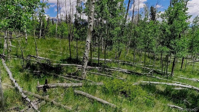 1047 Lumberjack Rd, Fairplay, CO 80440 - photo 24