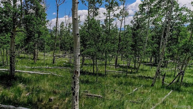 1047 Lumberjack Rd, Fairplay, CO 80440 - photo 25
