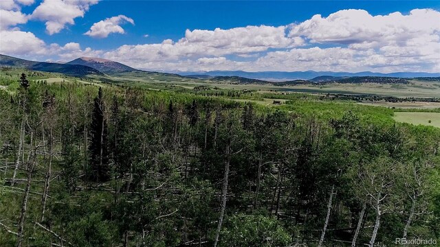 1047 Lumberjack Rd, Fairplay, CO 80440 - photo 26
