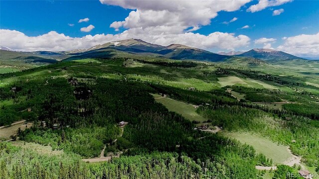 1047 Lumberjack Rd, Fairplay, CO 80440 - photo 28