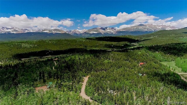 1047 Lumberjack Rd, Fairplay, CO 80440 - photo 29