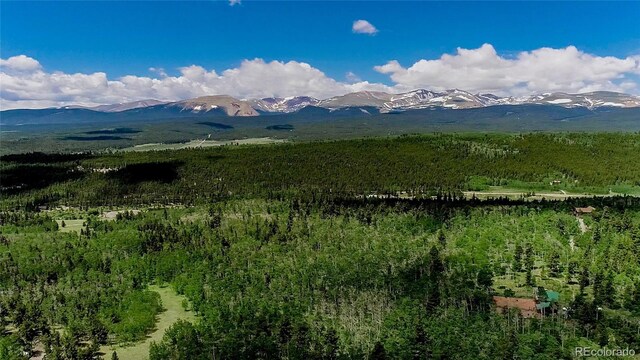 1047 Lumberjack Rd, Fairplay, CO 80440 - photo 30