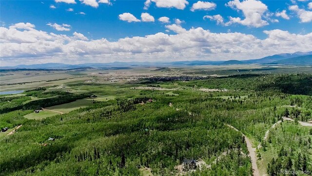 1047 Lumberjack Rd, Fairplay, CO 80440 - photo 31