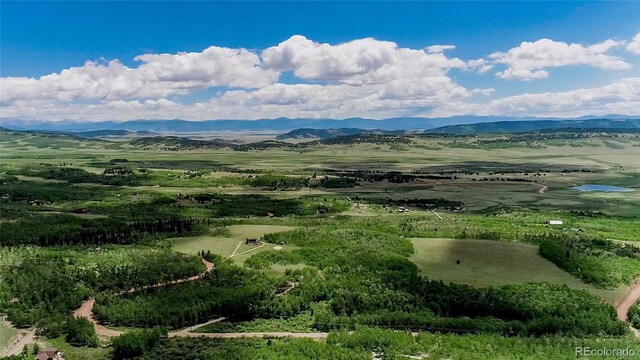 1047 Lumberjack Rd, Fairplay, CO 80440 - photo 32
