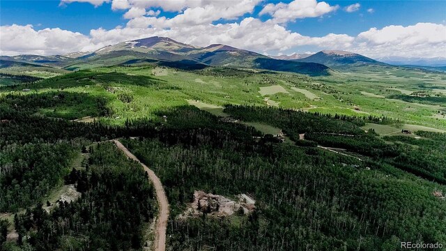 1047 Lumberjack Rd, Fairplay, CO 80440 - photo 34