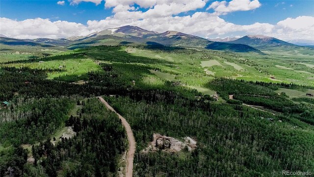 1047 Lumberjack Rd, Fairplay, CO 80440 - photo 35