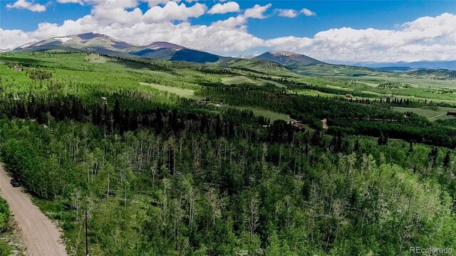 1047 Lumberjack Rd, Fairplay, CO 80440 - photo 36