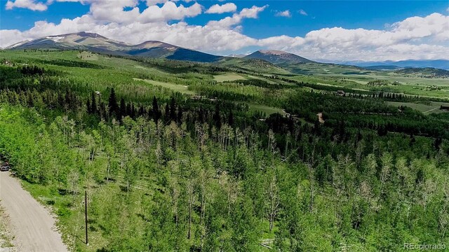 1047 Lumberjack Rd, Fairplay, CO 80440 - photo 37