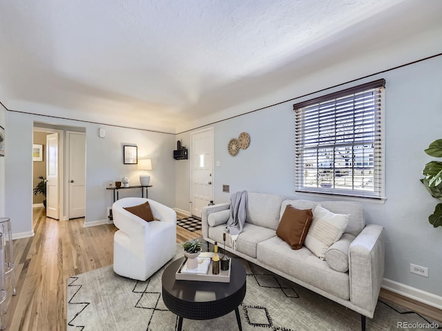 living room with light hardwood / wood-style floors