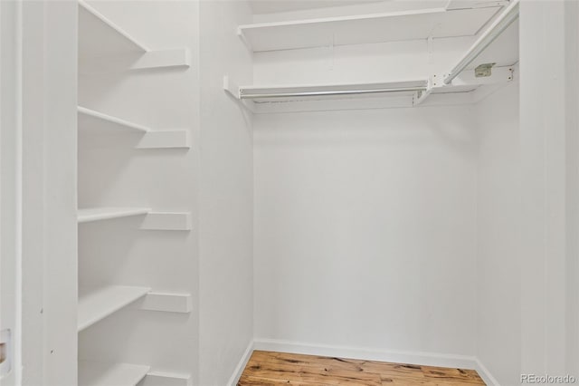 323 S Taft Ct Unit 26, Louisville, CO 80027 - walk in closet with wood finished floors