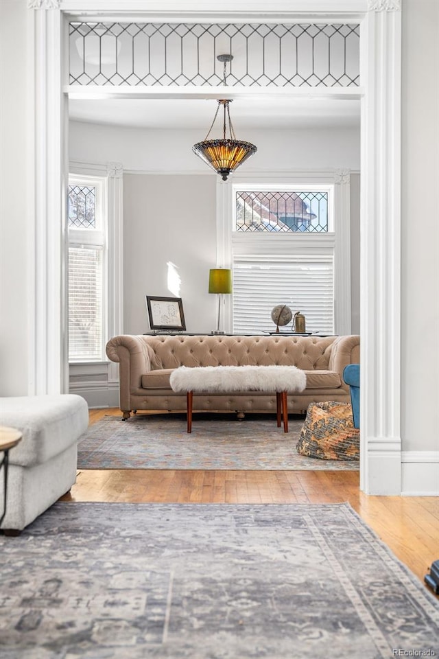 living room featuring hardwood / wood-style flooring