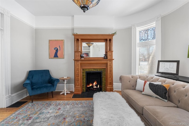 living room featuring hardwood / wood-style floors