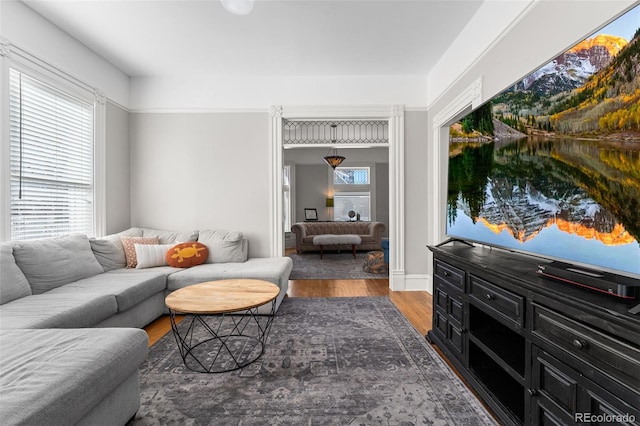 living room with hardwood / wood-style floors and a healthy amount of sunlight