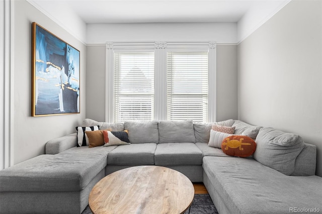 living room featuring plenty of natural light