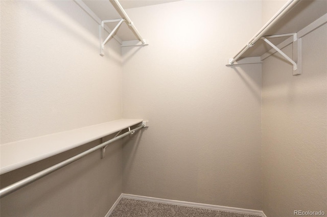 8231 S Fillmore Way, Centennial, CO 80122 - walk in closet featuring carpet