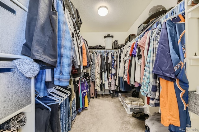 walk in closet featuring carpet flooring