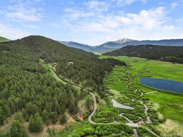 3763 County Road 43, Bailey, CO 80421 - view of mountain background with a forest