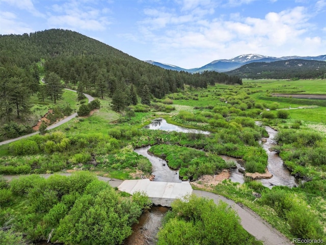 3763 County Road 43, Bailey, CO 80421 - view of mountain backdrop with a forest