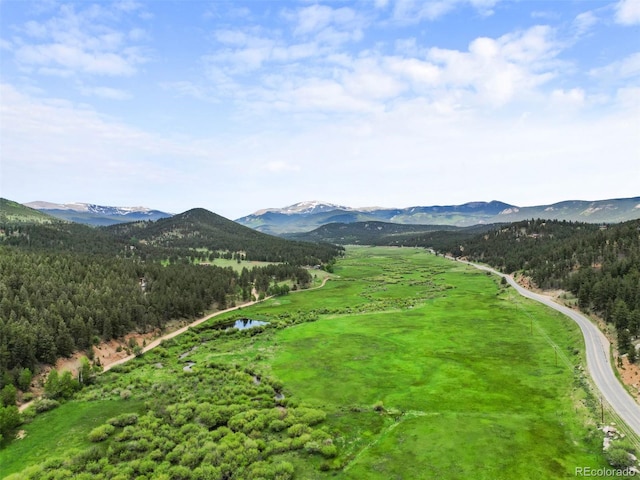 3763 County Road 43, Bailey, CO 80421 - view of mountain backdrop with a forest and a large body of water