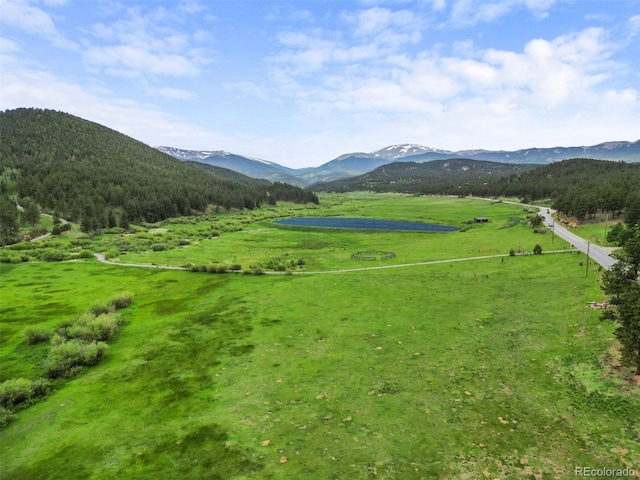 3763 County Road 43, Bailey, CO 80421 - mountain view with rural landscape