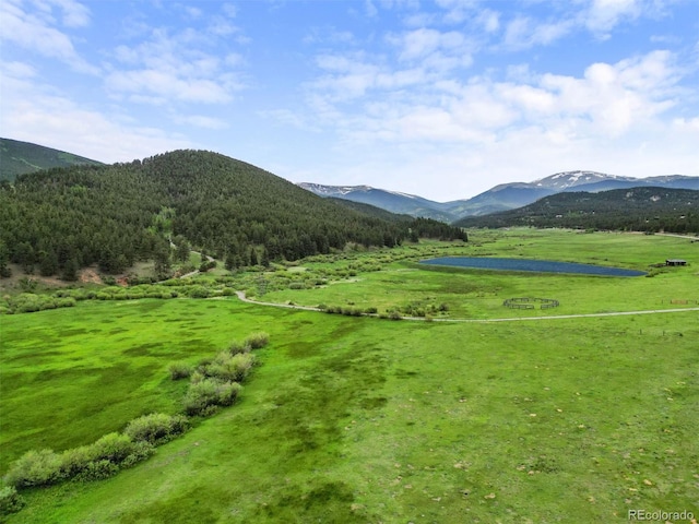 3763 County Road 43, Bailey, CO 80421 - view of community featuring a mountain view