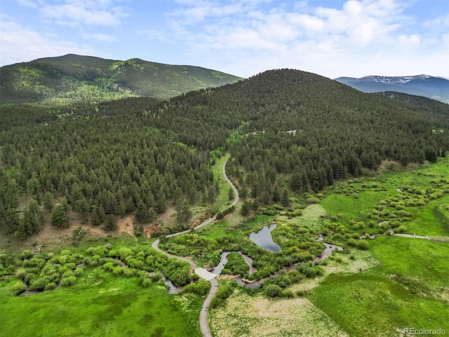 3763 County Road 43, Bailey, CO 80421 - view of mountain backdrop featuring a heavily wooded area