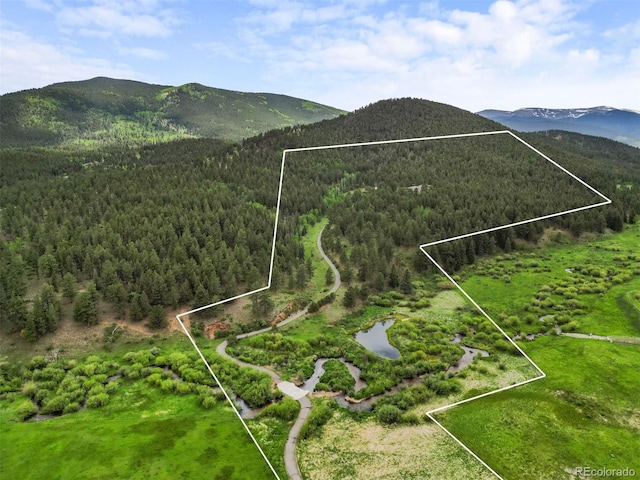 3763 County Road 43, Bailey, CO 80421 - view of property location with a forest and property boundaries highlighted