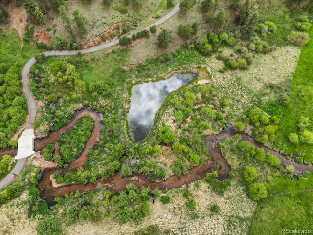 3763 County Road 43, Bailey, CO 80421 - aerial view of property's location