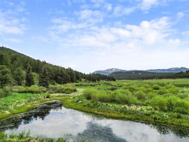 3763 County Road 43, Bailey, CO 80421 - water view with a mountainous background