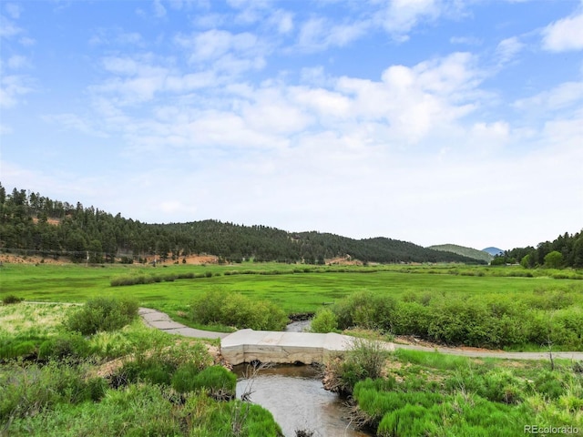 3763 County Road 43, Bailey, CO 80421 - view of community with a forest view, a mountain view, and a rural view