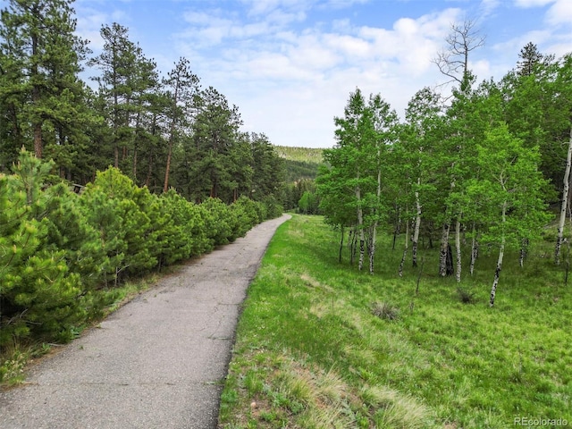 3763 County Road 43, Bailey, CO 80421 - view of road with a wooded view