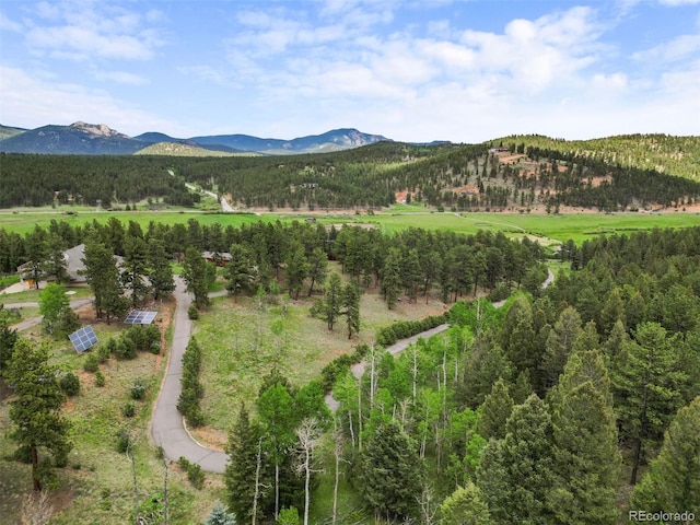 3763 County Road 43, Bailey, CO 80421 - view of mountain backdrop