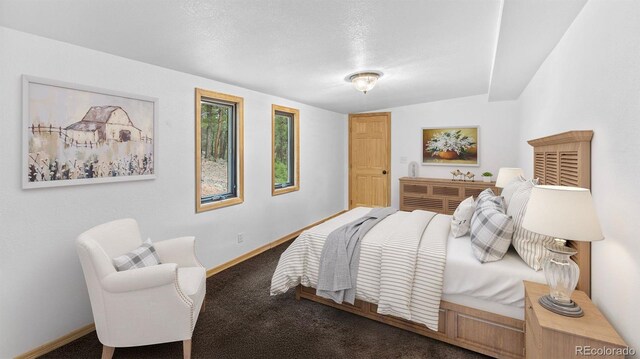 3763 County Road 43, Bailey, CO 80421 - bedroom with baseboards and carpet floors