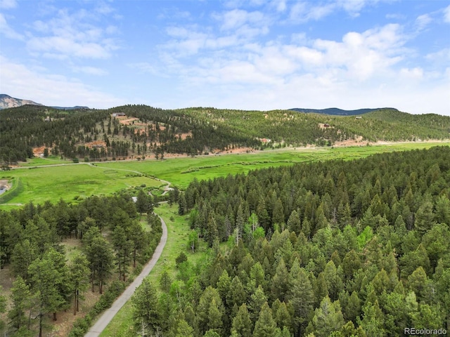 3763 County Road 43, Bailey, CO 80421 - mountain view featuring a heavily wooded area