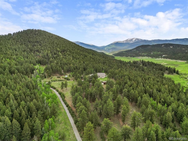 3763 County Road 43, Bailey, CO 80421 - view of mountain backdrop featuring a heavily wooded area