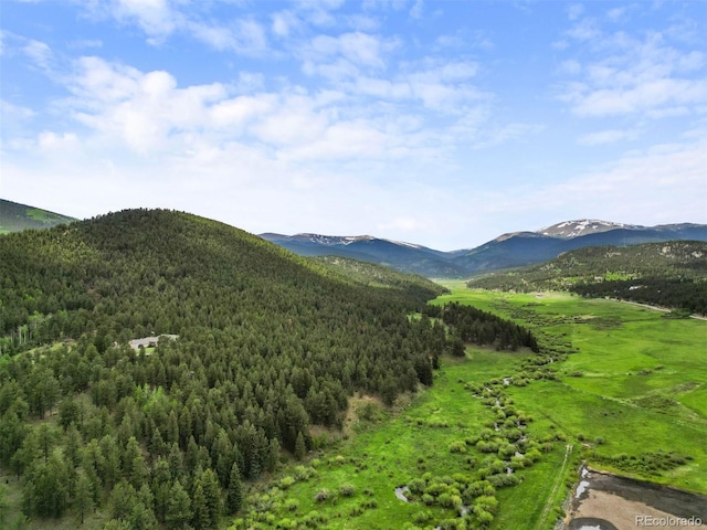 3763 County Road 43, Bailey, CO 80421 - view of mountain backdrop featuring a forest