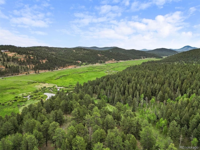 3763 County Road 43, Bailey, CO 80421 - mountain view with a heavily wooded area