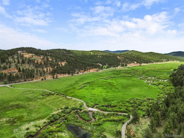 3763 County Road 43, Bailey, CO 80421 - view of mountain backdrop with rural landscape