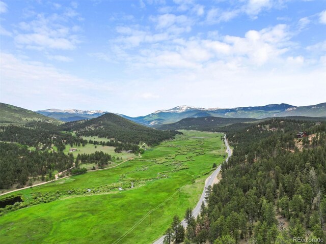 3763 County Road 43, Bailey, CO 80421 - mountain view